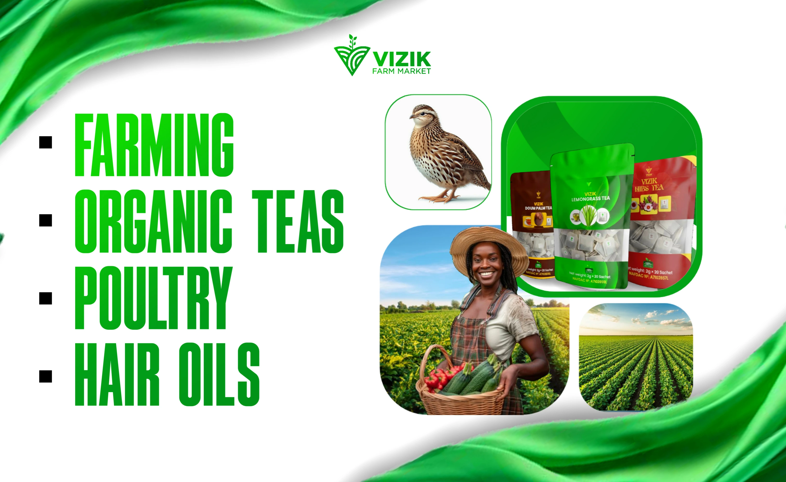 Organic farming practices at Vizik Farm Market